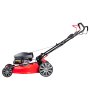 Газонокосилка бензиновая самоходная с двигателем FUBAG Honda FPL 56 SMH в Ростове-на-Дону фото
